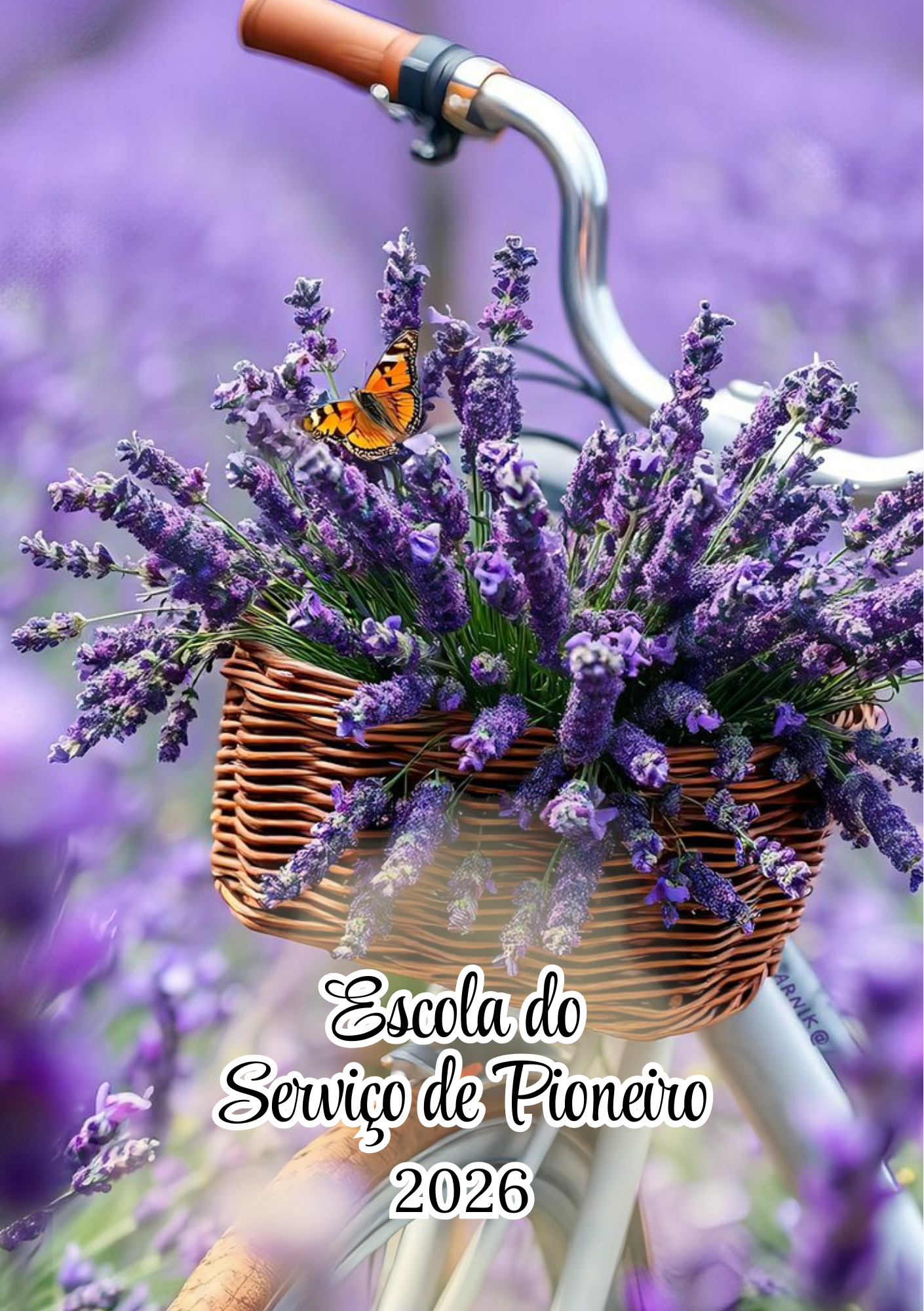 Capa 11
